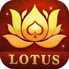 365 slots yono download